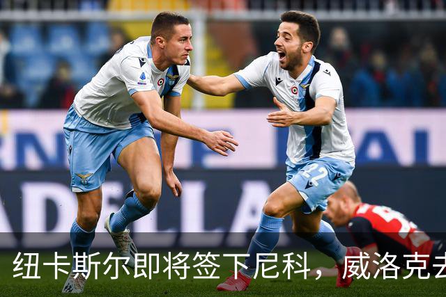 纽卡斯尔即将签下尼科，威洛克去向仍未确定